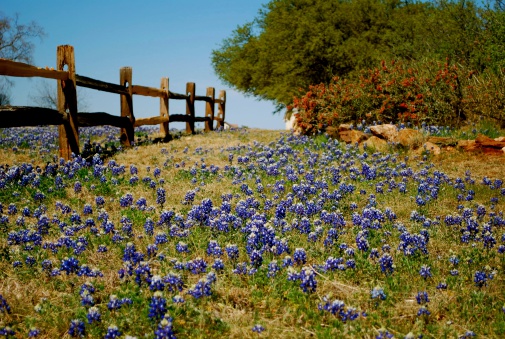 Outdoor Spaces, Hill Country Views, Texas, Sustainable Living